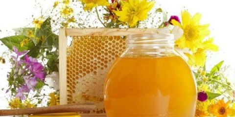 Korisna svojstva meda iz bilja